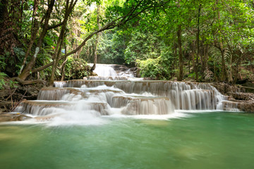 Obraz premium waterfall in rainforest
