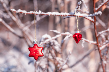 Christmas red star and heart on twigs and frost-covered sprigs in the forest