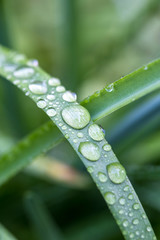 緑と水　エコイメージ