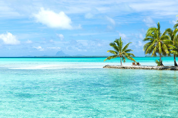 Fototapeta na wymiar travel, seascape and nature concept - tropical beach with palm trees and sunbeds in french polynesia
