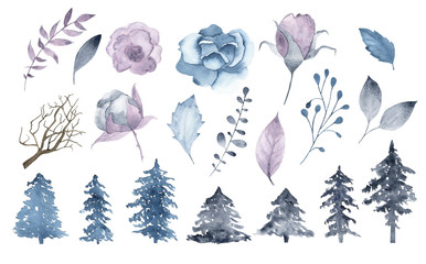 Aquarell Winterblumen Brunch lässt Tanne isoliert © madiwaso