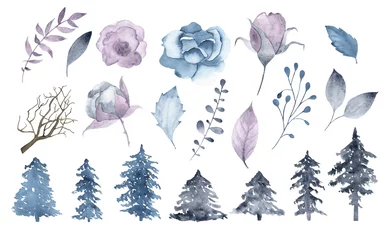Aquarell Winterblumen Brunch lässt Tanne isoliert © madiwaso