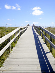 Naklejka premium vertical view of a long wooden boardwalk ocean beach access leading over sand dunes on a beautiful summer day