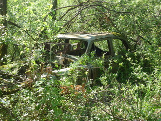 Epave en for&ecirc;t