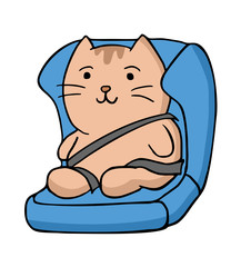 cat in safety seat