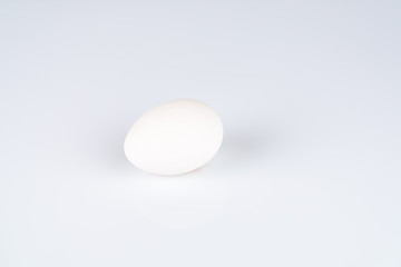 One white egg isolated on white, copy space