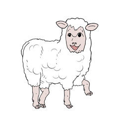 funny sheep draw