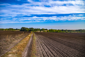 Fototapeta na wymiar Dirt road through a plowed field