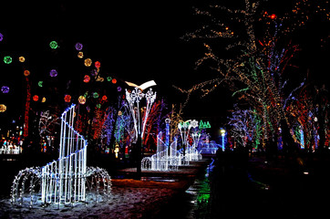 Night street in the city is decorated with a luminous multicolored garland on trees with lighting. Decoration of the city in Ukraine to Hanukkah and the New Year
