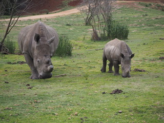 Obraz premium OLYMPUS DIGITAL CAMERA