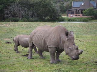 Obraz premium OLYMPUS DIGITAL CAMERA