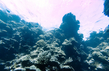 underwater
