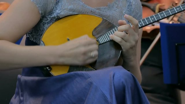 Symphony concert - unrecognizable woman playing mandolin - close up shot. Music and culture concept