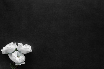 Fototapeta na wymiar Fresh, white roses on black, dark background. Condolence card. Empty place for emotional, sentimental text, quote or sayings. Top view. Flat lay.
