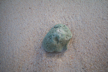 background in nature