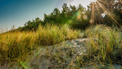 Dünenlandschaft an Rügens nördlicher Küste