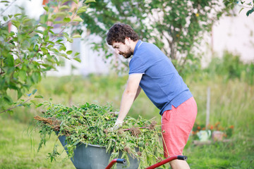 Man pulling out weeds at his huge garden during spring or summer time, clearing garden