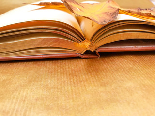 Yellow maple leaf and notepad./
Autumn yellow brown kden leaf and notebook.