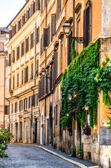 Fototapeta na wymiar Cozy winding Roman street with green walls of houses. Rome. Italy