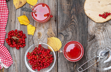 tea from fresh berries of viburnum in a transparent glass cup