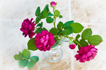 Bouquet of red, claret, pink roses in a glass vase on a ceramic floor.