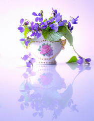 Bouquet of yellow and lilac spring colors in green leaves in a glass vase on a white background with reflection in a table. Violets.