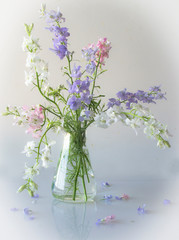 Bouquet of gentle summer flowers pink and goloby in a glass vase on a white background with reflection in a table.