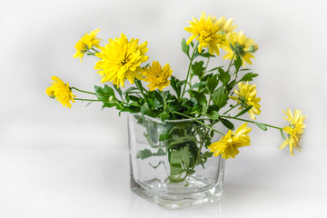 Bouquet of yellow chrysanthemums in green leaves in a glass vase on a white background with reflection in a table.