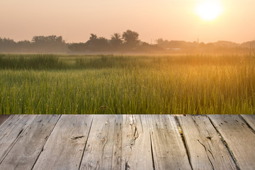 Fototapeta na wymiar empty wooden table ricefield and sunrise background