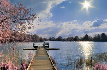 Beautiful fantasy infrared landscape with lots of purpel elements and a deep blue sky