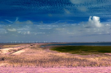 Beautiful fantasy infrared landscape with lots of purpel elements and a deep blue sky