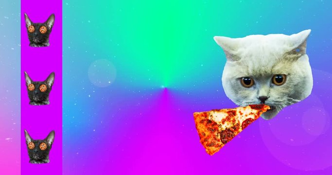 Minimal motion art. Collage Pizza addicts Cats. Pizza lovers idea