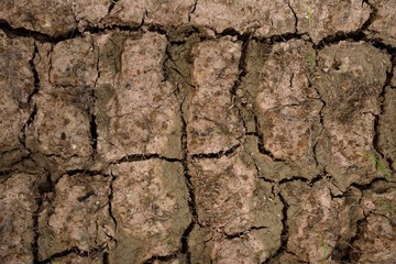 soil fracture texture and background