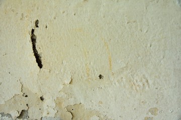 white cement texture background