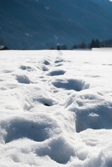 Footprints sunk into the snow