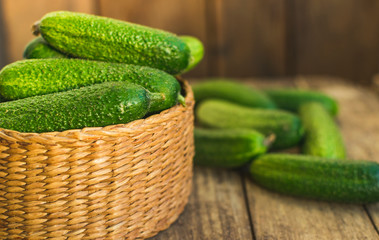 Fresh cucumbers in box and on old wooden table