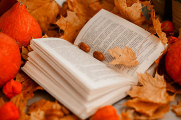 open book with leaves