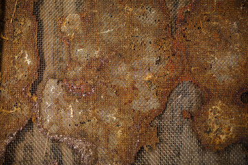 Closeup of a topside of beehive glued with propolis