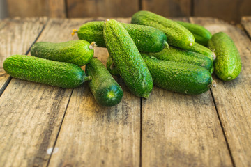 Fresh cucumbers on old wooden table