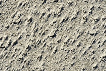 Natur als Bildhauer: Sandformen