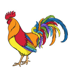 Rainbow rooster or cock. Color isolated vector illustration on white background.