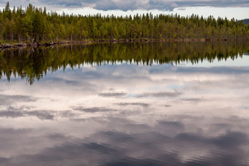 Landscape; ripples on the water and forest and cloud reflections