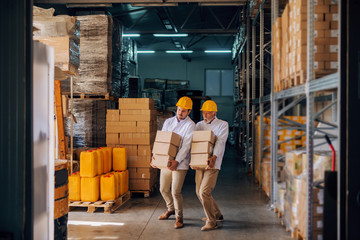 Coworkers carrying boxes with helmets on heads. Storage interior.