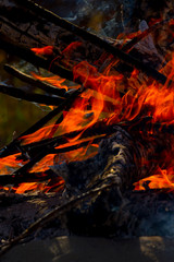 Close up of camp fire flames and fire, outdoor wood fire