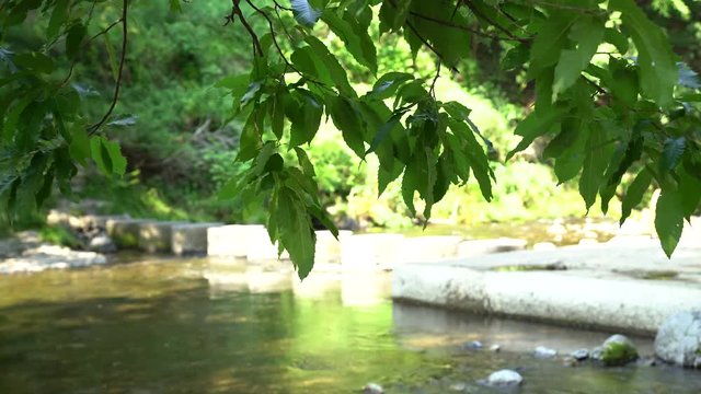 吾妻峡の風景