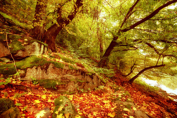 Beautiful autumn landscape