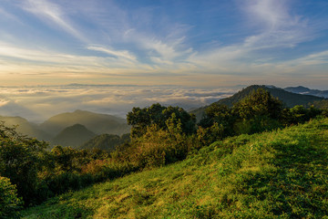 Fototapeta premium Morning sunrise and mist cover at Doi Angkhang.