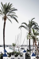 Marina of Estepona. Costa del Sol. Andalusia. Spain.