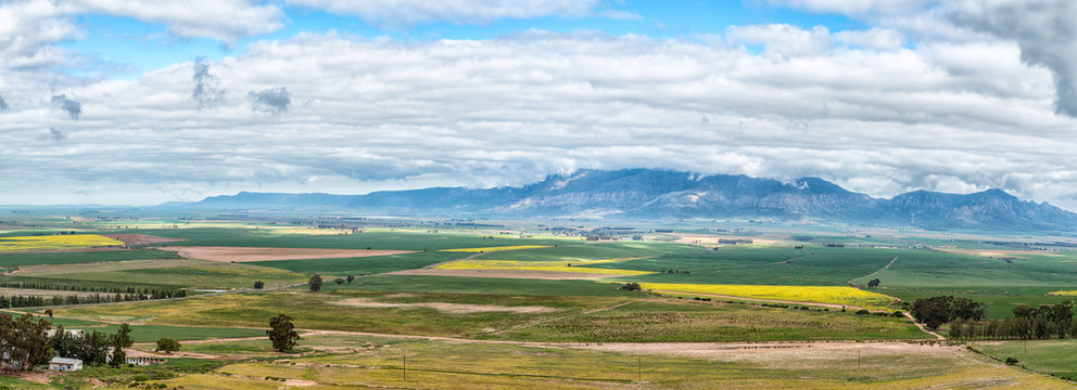 Panoramic farm landscape seen from the Piekenierskloof Pass