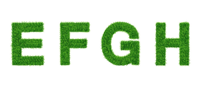 Grass letter Collection. E, F, G, H Isolated from white .Eco symbol . The green lawn background. Vector illustrations